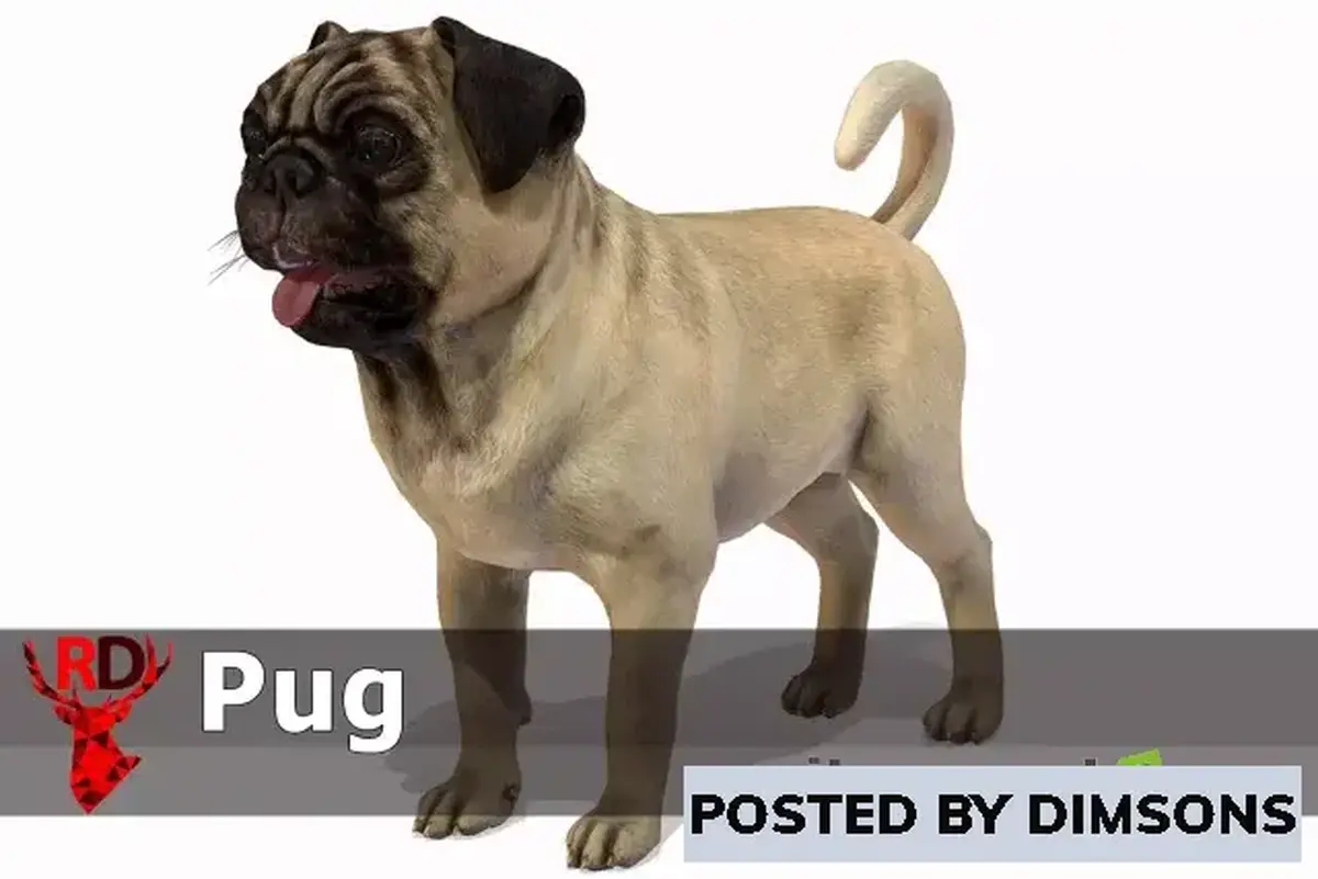 Unity 3D-Models Dog - Pug v1.0