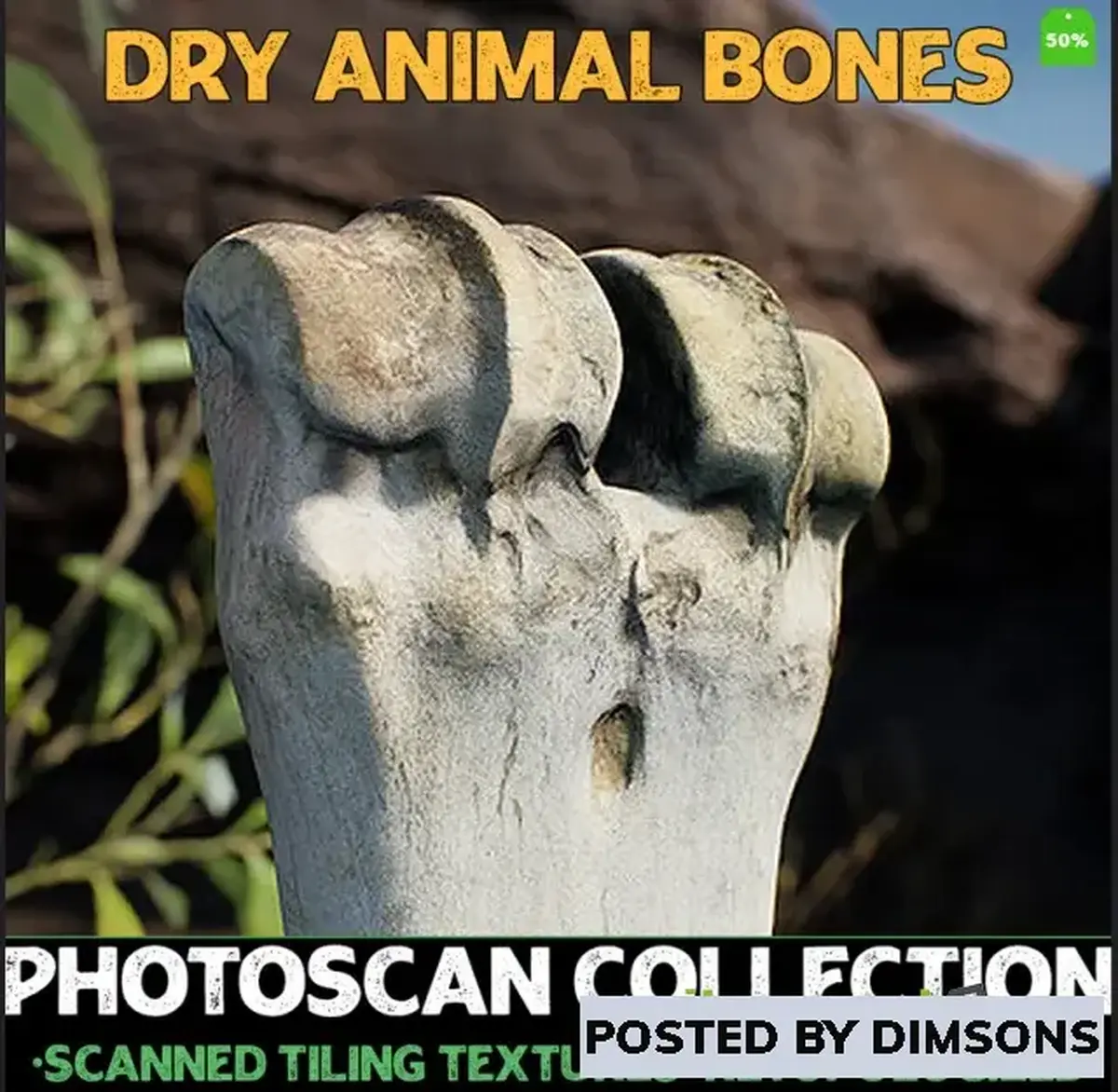 Unreal Engine Props Dry Animal Bones - Photoscan Vol 2 v4.19+