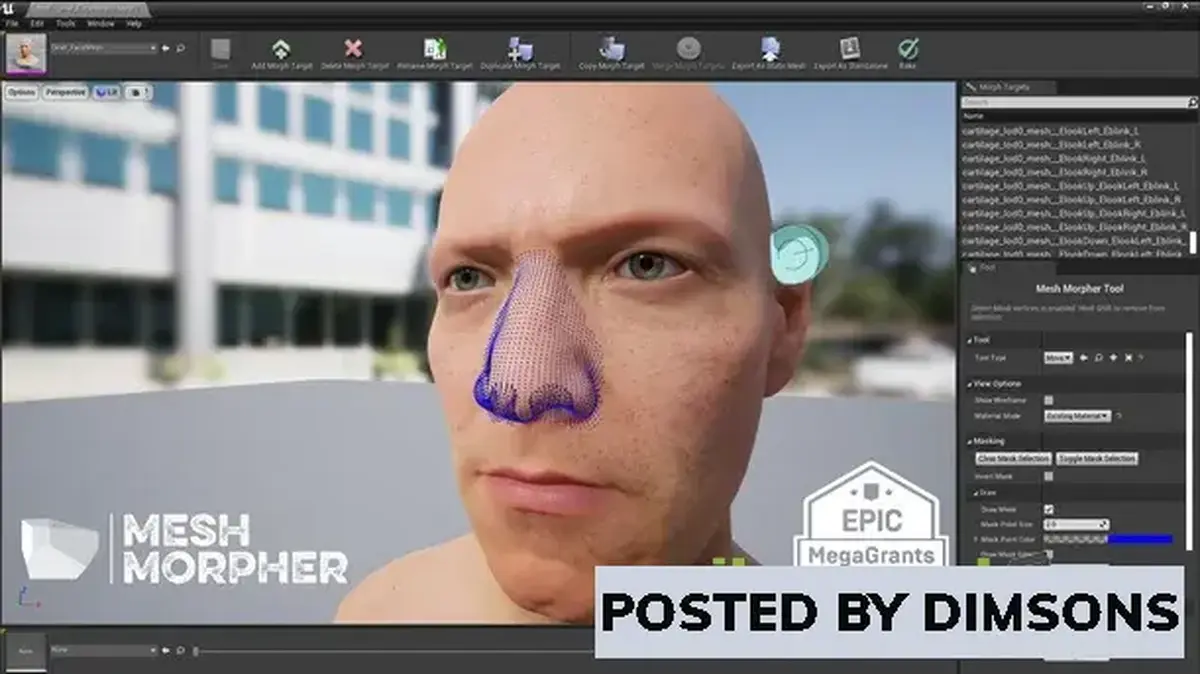 Unreal Engine Code Plugins Mesh Morpher (Wrapper) v5.3