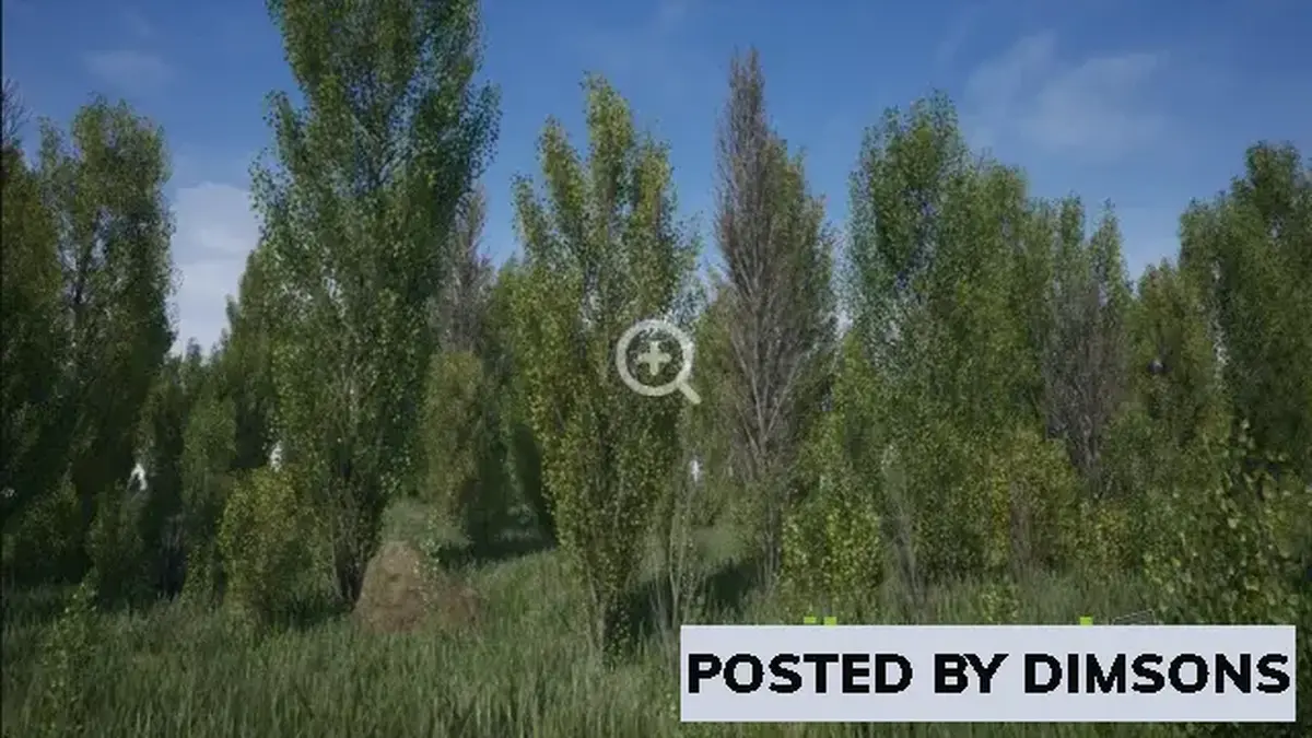 Unreal Engine Props Poplars Pack (Populus nigra f. pyramidalis) v4.24-4.27, 5.0-5.2