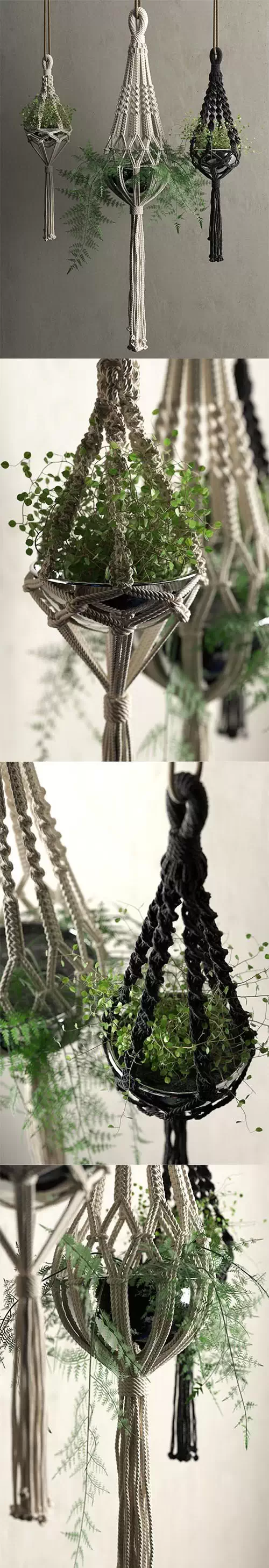 Macrame Hanging Pots with Plants 3D model