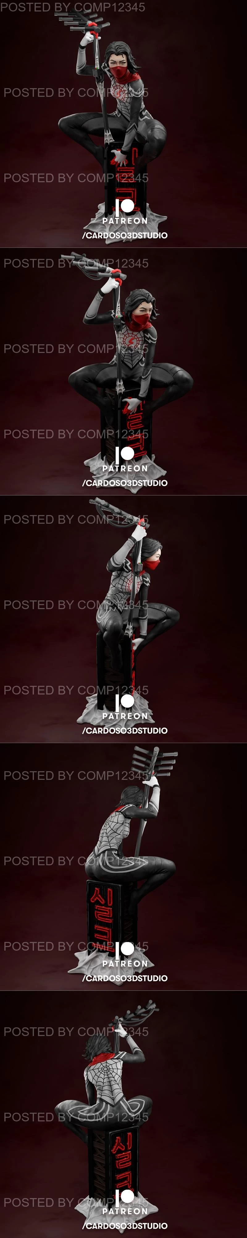 Cardoso 3d Studio - Silk 3D Print