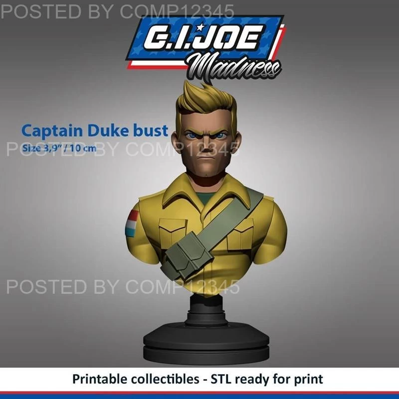 Captain Duke Bust