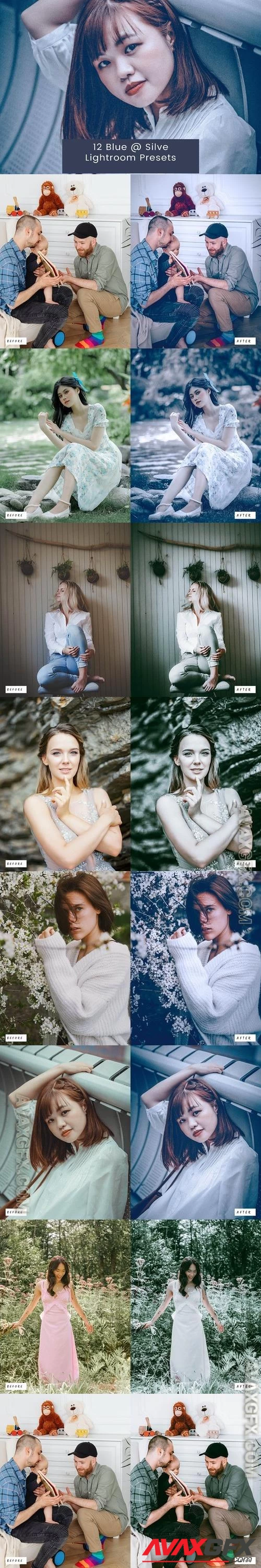 12 Blue and Silve Lightroom Presets