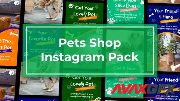 Pets Shop Instagram Reels 47465669 [Videohive]