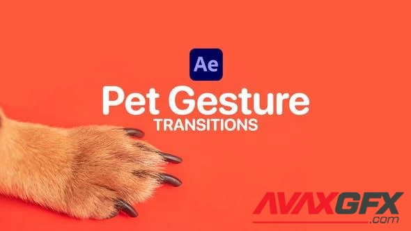 Pet Gesture Transitions for After Effects 47367361 [Videohive]