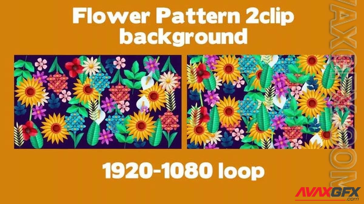 MA - Flower Background Loop Pack 1574884