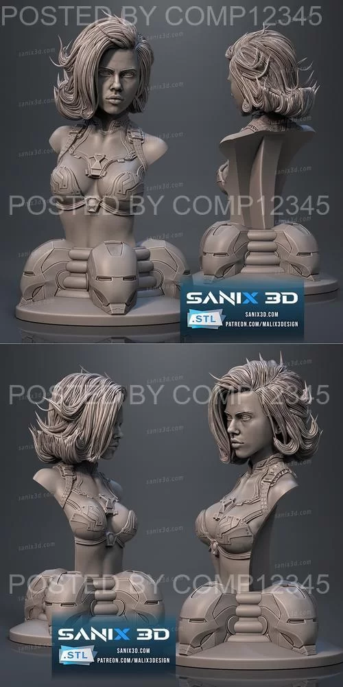 Sanix - Iron Widow bust 3D Print
