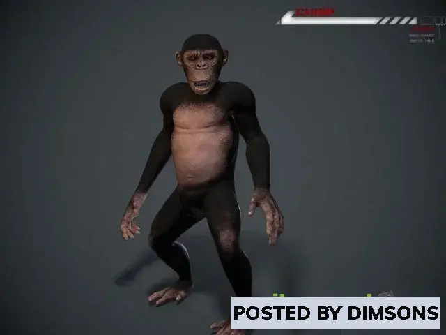 3D Models Chimp Lowpoly rigged