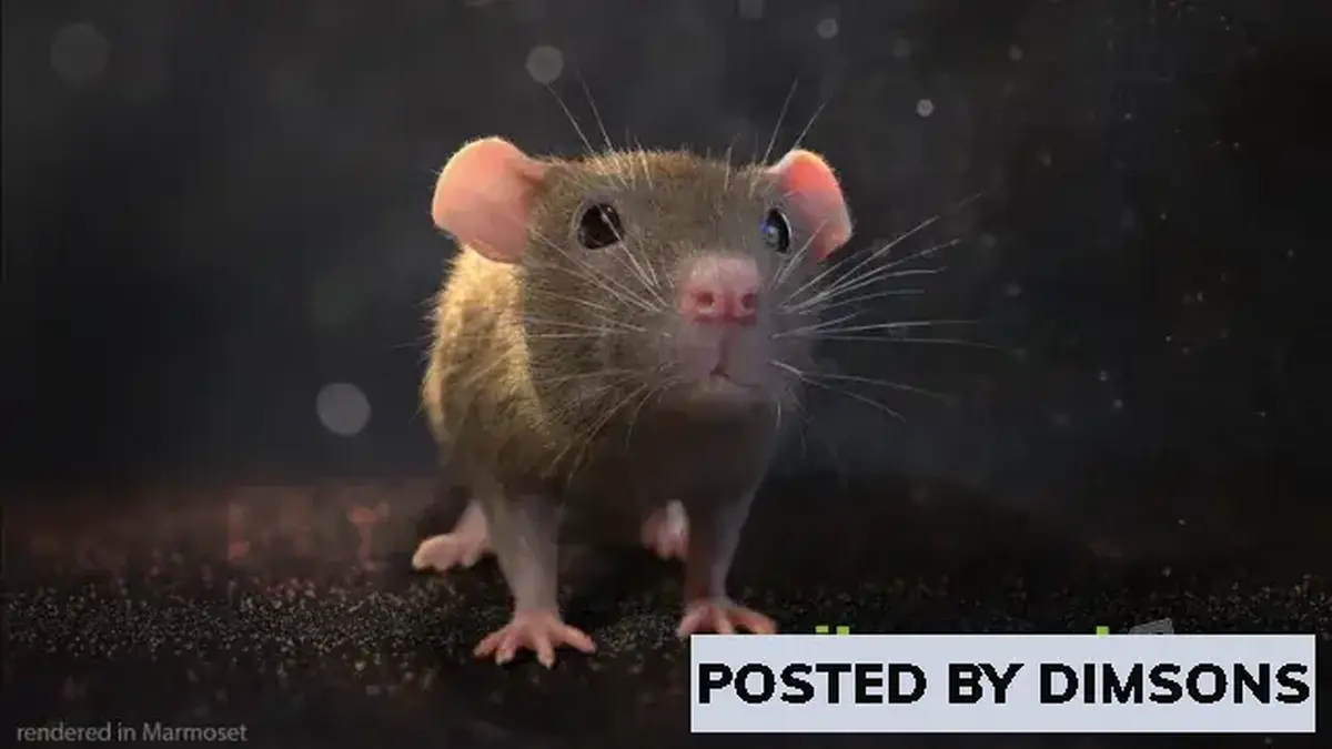 Unreal Engine Characters Mouse v4.20-4.27, 5.0-5.2