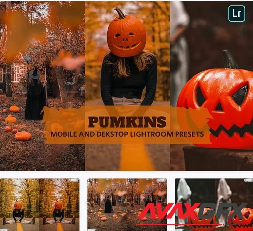 Pumpkins Lightroom Presets Dekstop and Mobile - 2DLVBKK