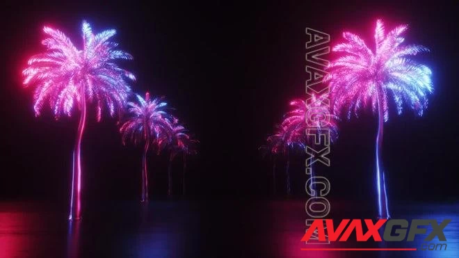 MA - Neon Palm Tree Loops 1622131