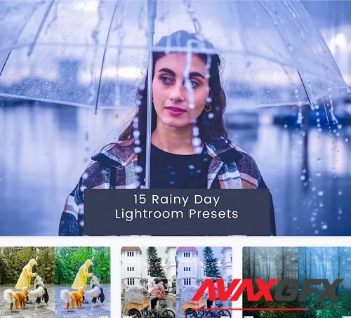 15 Rainy Day Lightroom Presets - PNEUTLA