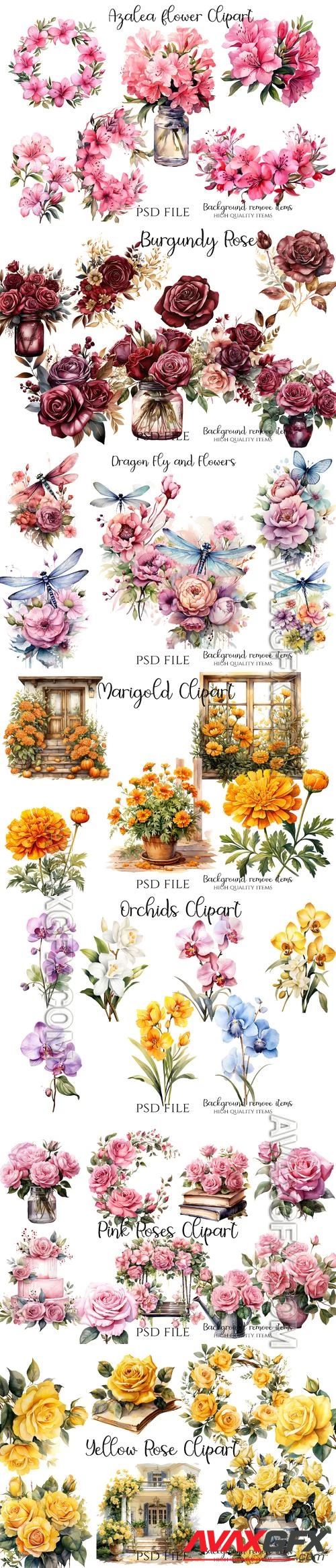 Flowers, roses, orchids, marigold, wildflowers, dragonfly - PSD illustration cliparts set