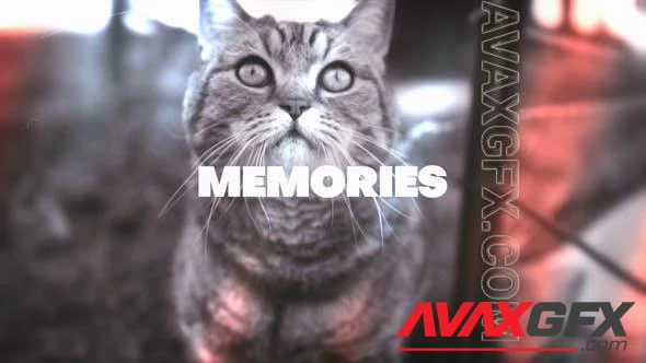 Memories Looks 47621079 [Videohive]