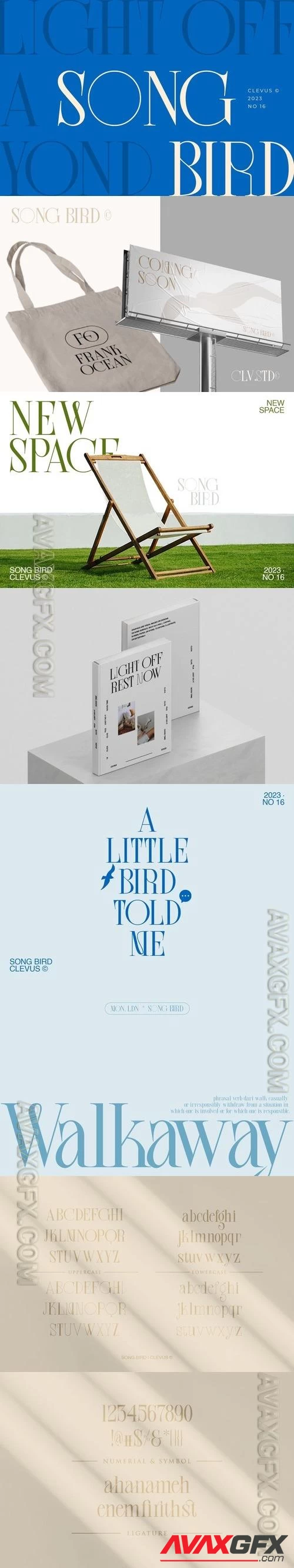 Song Bird | Modern Serif