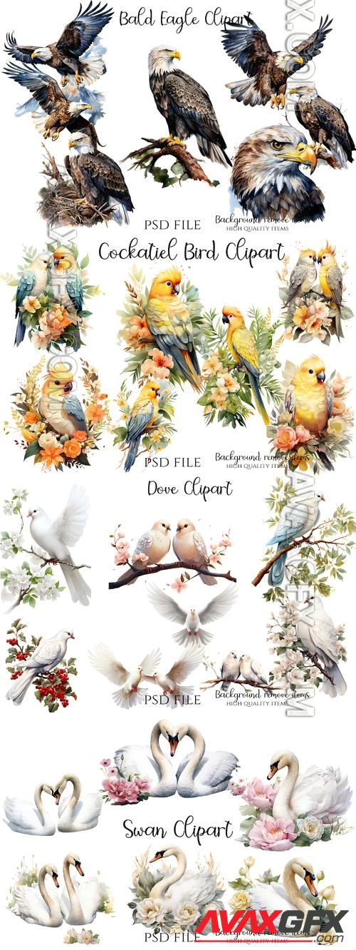 Swan, parrots, pigeons, two birds with words love, cockatiel bird, bald eagles bird - PSD illustration cliparts set