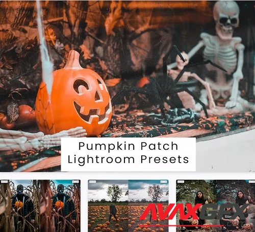 Pumpkin Patch Lightroom Presets - GXHV6C8