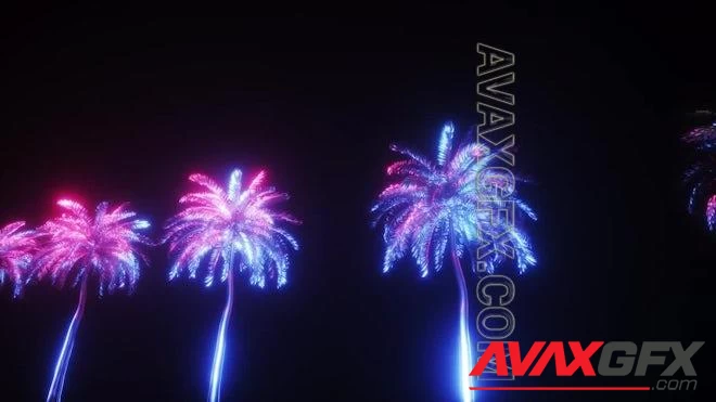 MA - Neon Glowing Palms Loop 1621900