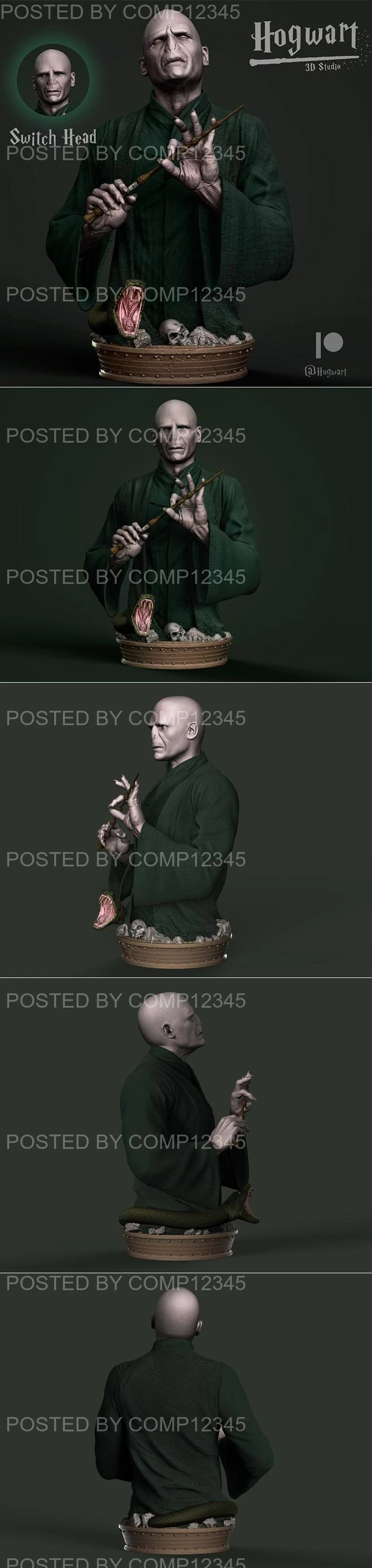 Hogwart - Voldemort Bust