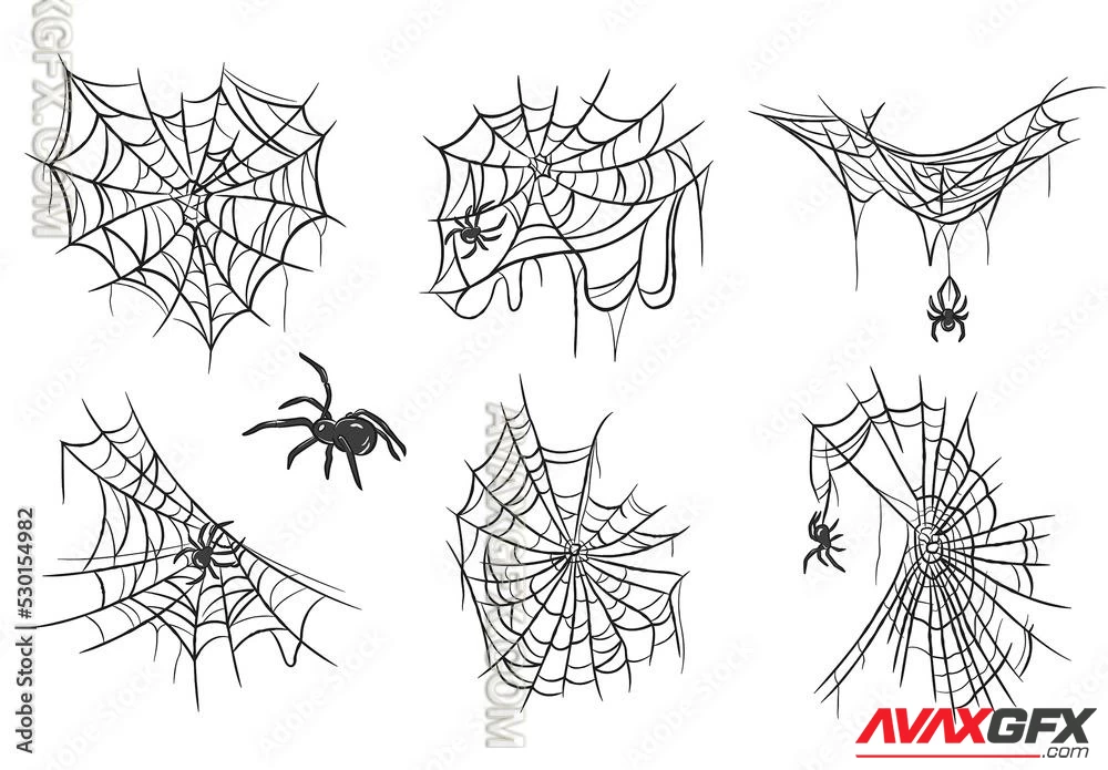 Spider Web Illustrations 530154982 Adobestock