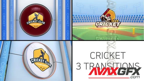 Cricket Logo Transition 48650978 Videohive