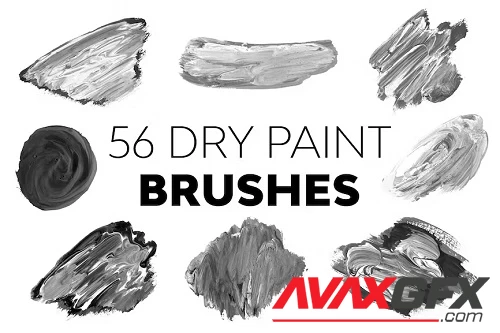 Dry Paint Brushes - DNA5WJC