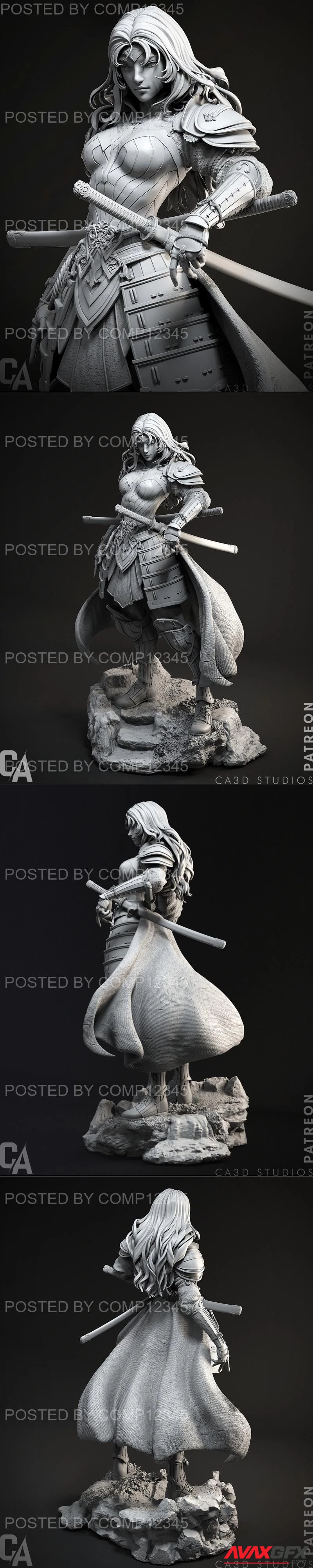 Ca 3d Studios - Samurai Wonder Woman