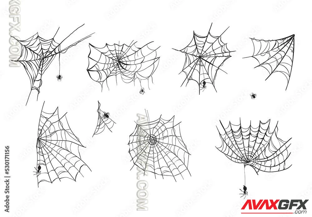 Spider Web Illustrations 530171156 Adobestock