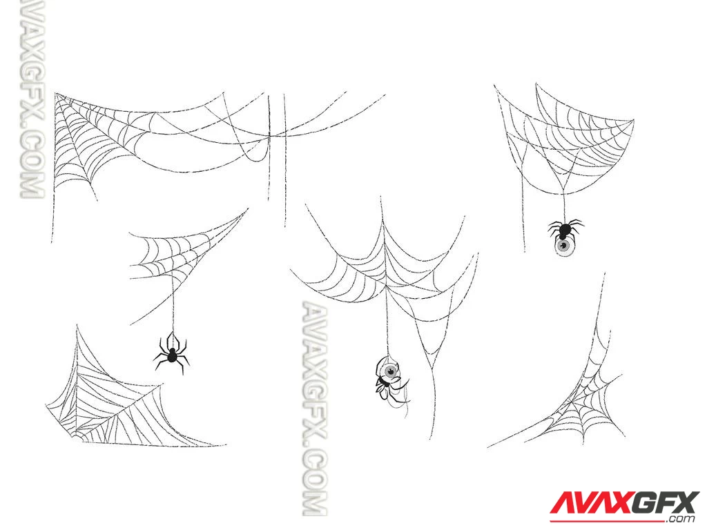 Spider Webs 530154929 Adobestock