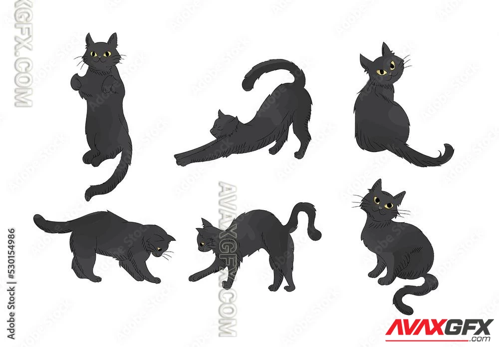 Black Cats Kittens 530154986 Adobestock