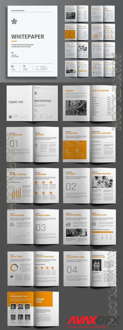 Company White Paper Brochure Design VSSFPBF