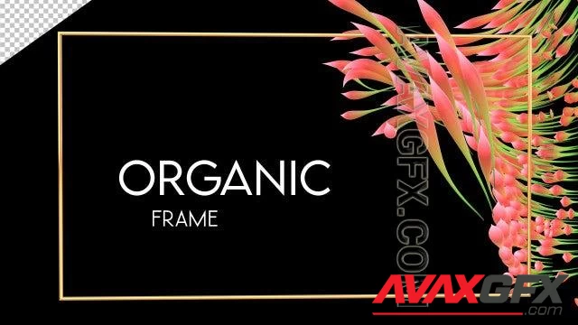 MA - Organic Frame On Alpha 1538822