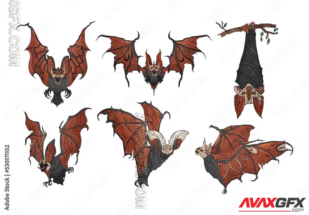 Vampire Bat Illustrations 530171152 Adobestock