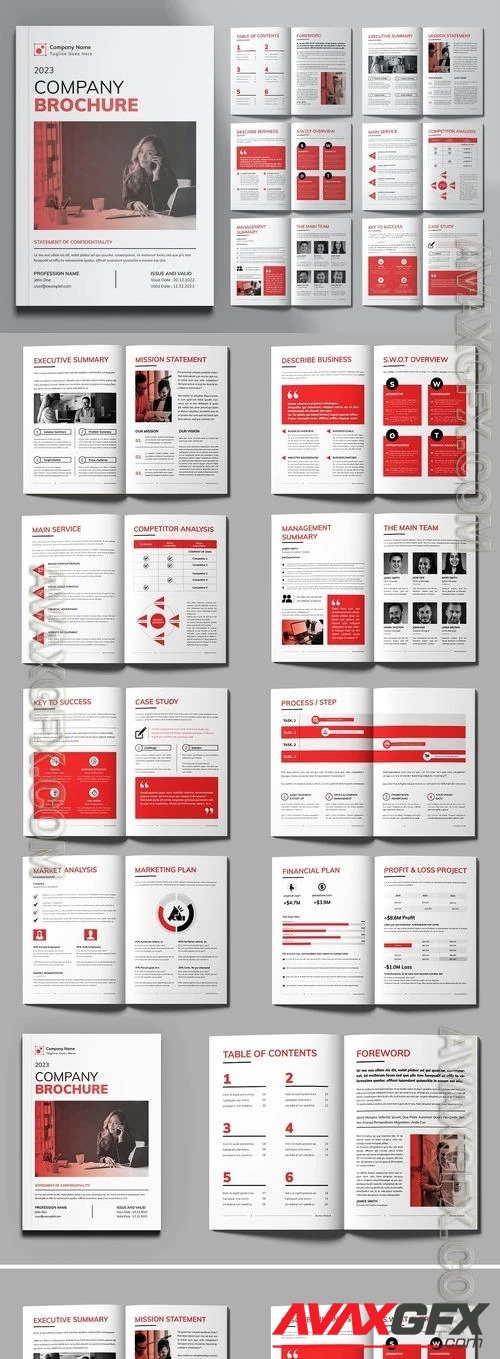 Company Brochure Design