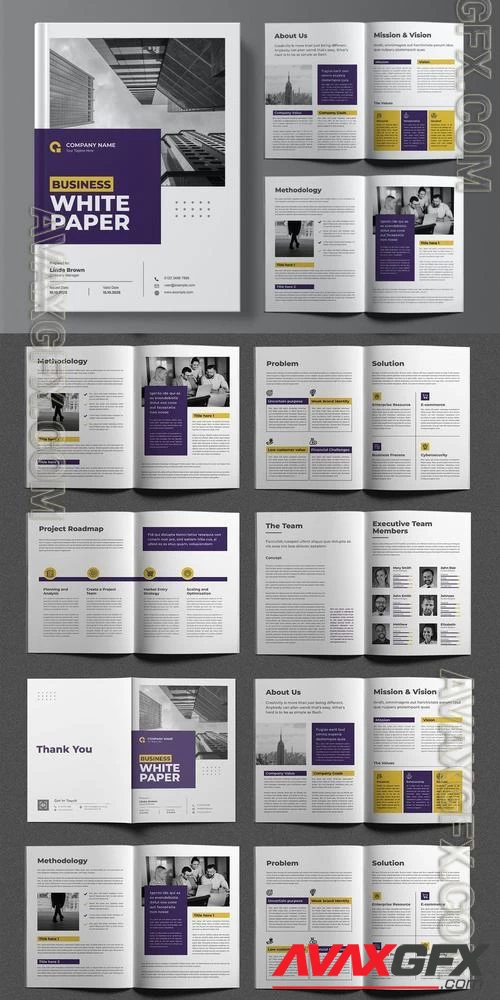 Business White Paper Brochure Design