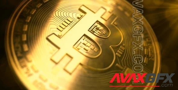 Bitcoin Logo Pack 21359981 Videohive