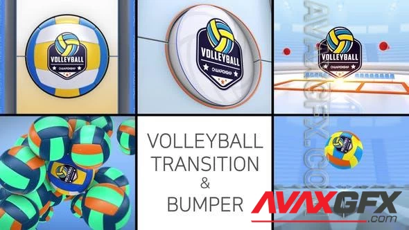 Volleyball Logo Transition & Bumper 48021862 Videohive