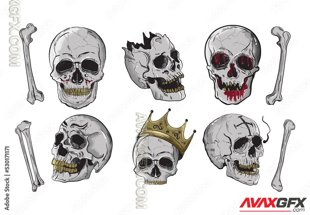 Skull Skeleton Illustrations 530171171 Adobestock