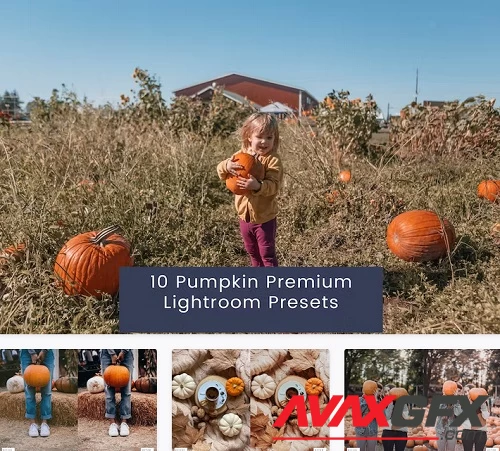 10 Pumpkin Premium Lightroom Presets - 5477Z3D