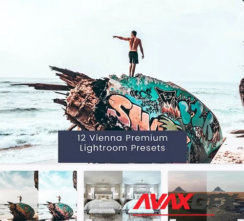 12 Vienna Premium Lightroom Presets - ZHS8FQT