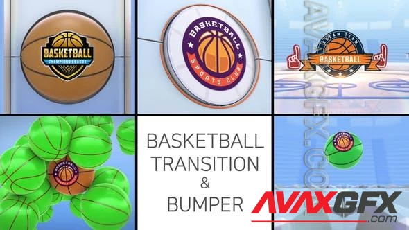 Basketball Logo Transition & Bumper 47887152 Videohive