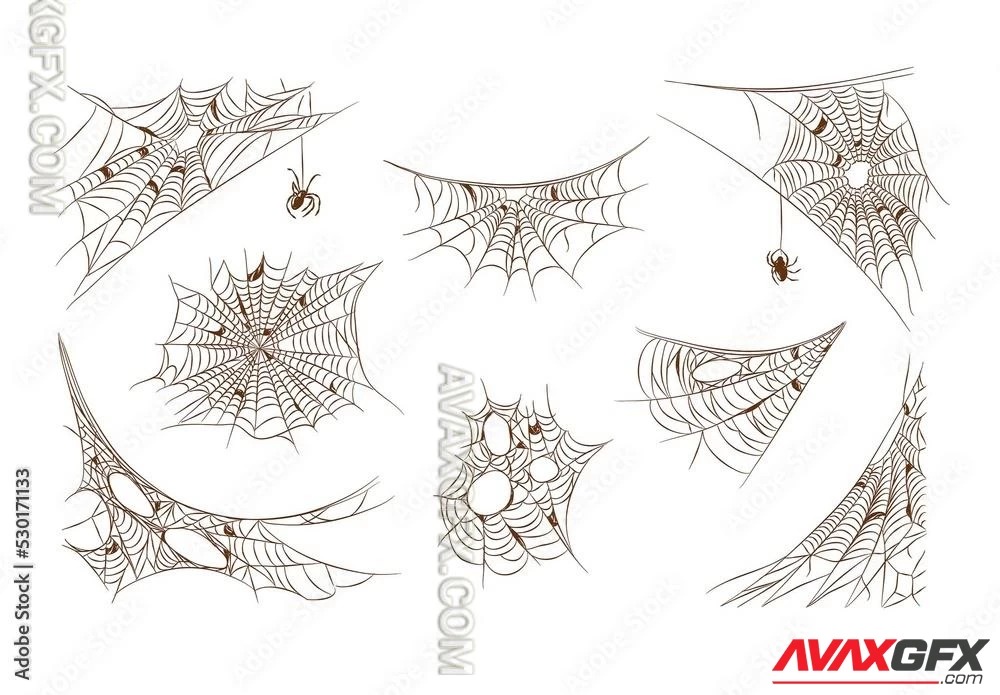 Spooky Spider Web Illustrations 530171133 Adobestock