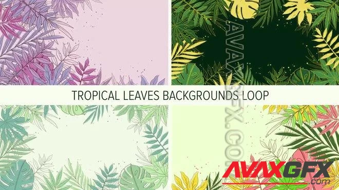 MA - Pack Of 2D Tropical Leaves Backgrounds 1624248