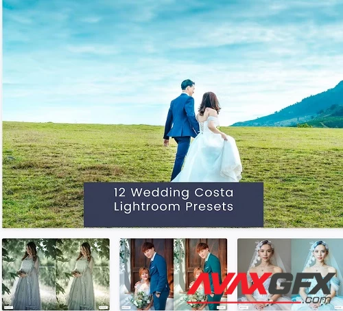 12 Wedding Costa Lightroom Presets - YR52L63