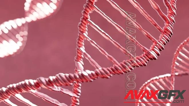 MA - Pink DNA Strands Over Red Background 1603957