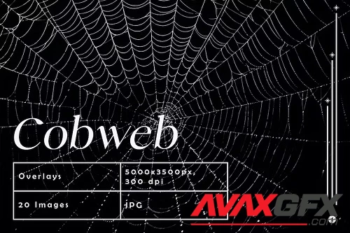 Spider Cobweb Overlays - GA8A7Z9