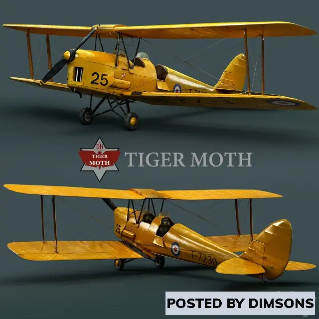 Aircraft Tiger moth - 3D Model