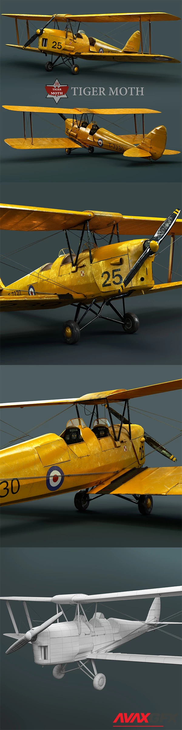 Tiger Moth 3D Model