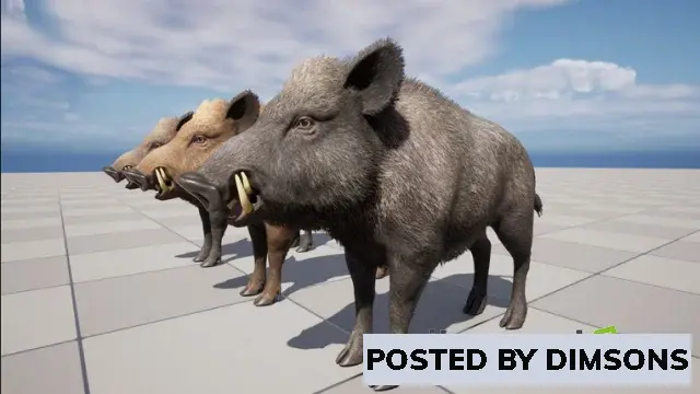 Unreal Engine Characters Wild Boar - Male v5.1-5.3